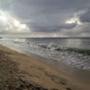 Meet your Posher, Emilia